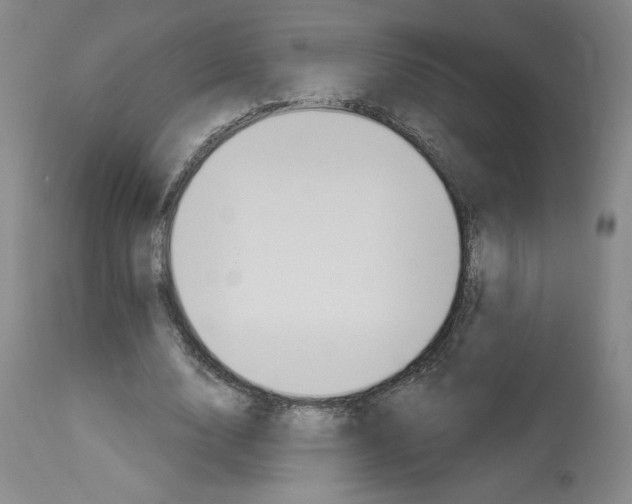 X0000112910632200910051043