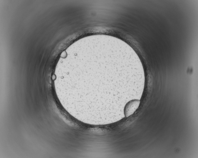 X0000112910633200910051043