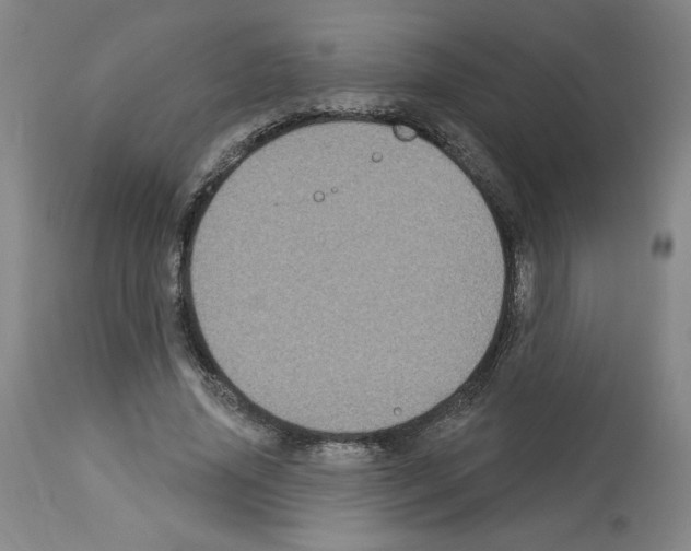 X0000112910636200910051043