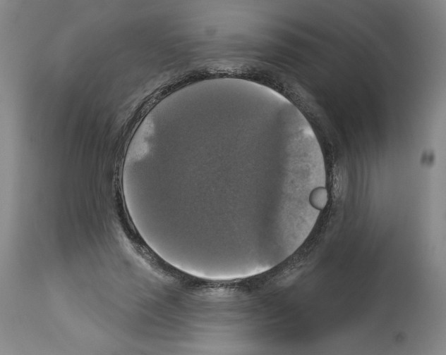 X0000112910637200910051043