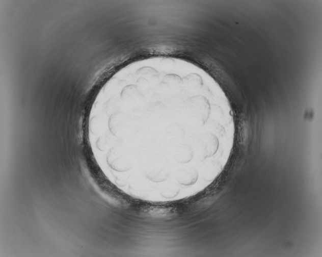 X0000112910638200910051043