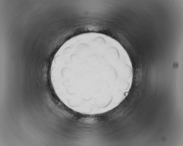 X0000112910639200910051043