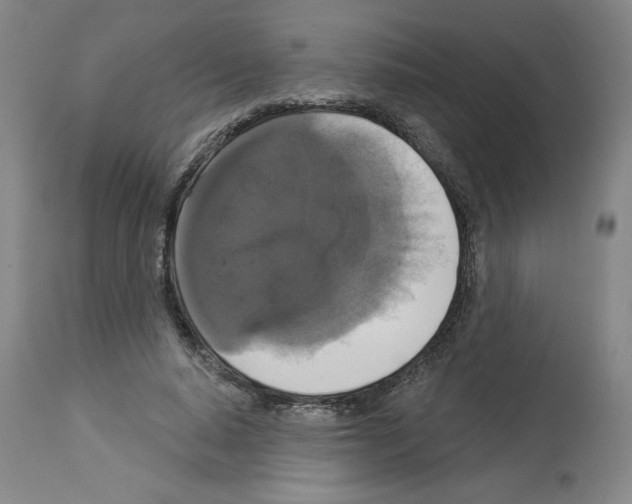 X0000112910640200910051043