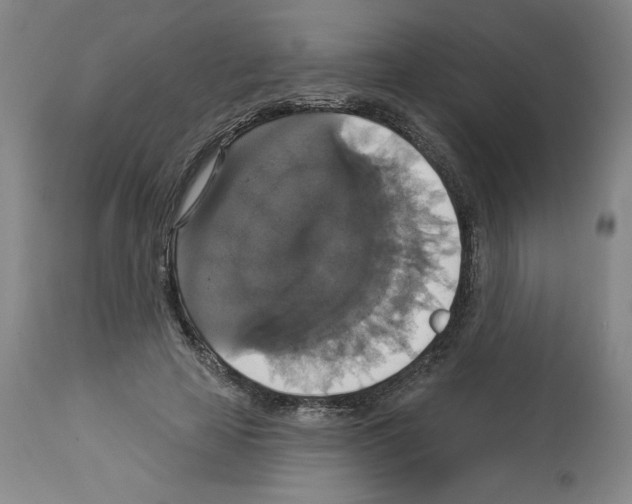 X0000112910641200910051043