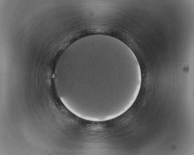 X0000112910643200910051043