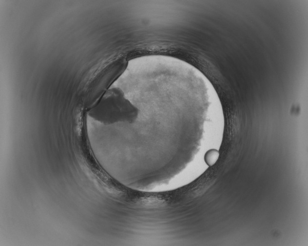 X0000112910644200910051043