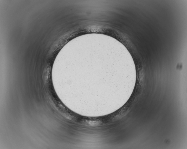 X0000112910645200910051044