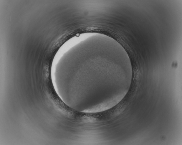 X0000112910648200910051044
