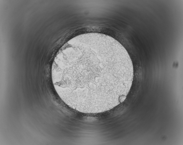 X0000112910649200910051044