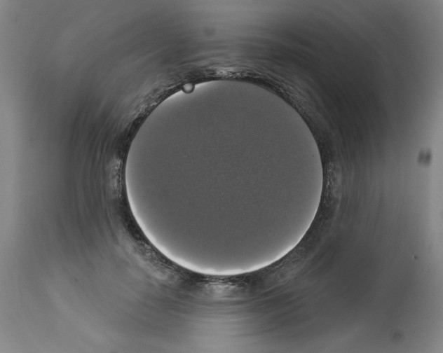 X0000112910650200910051044