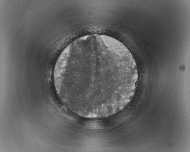 X0000112910652200910051044