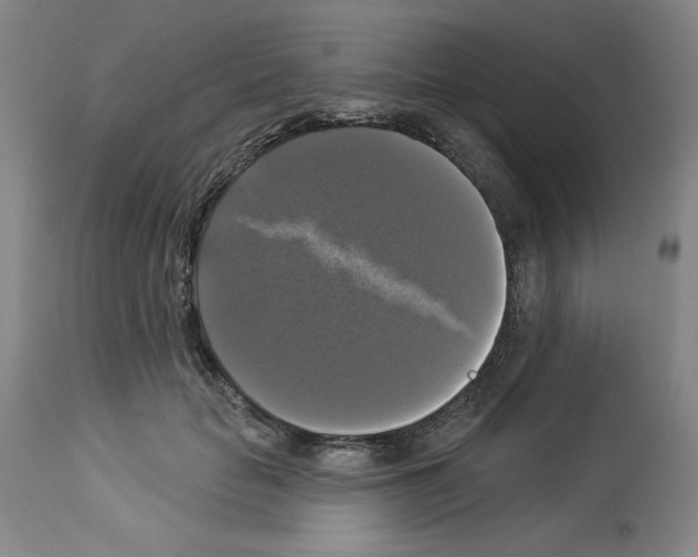 X0000112910653200910051044