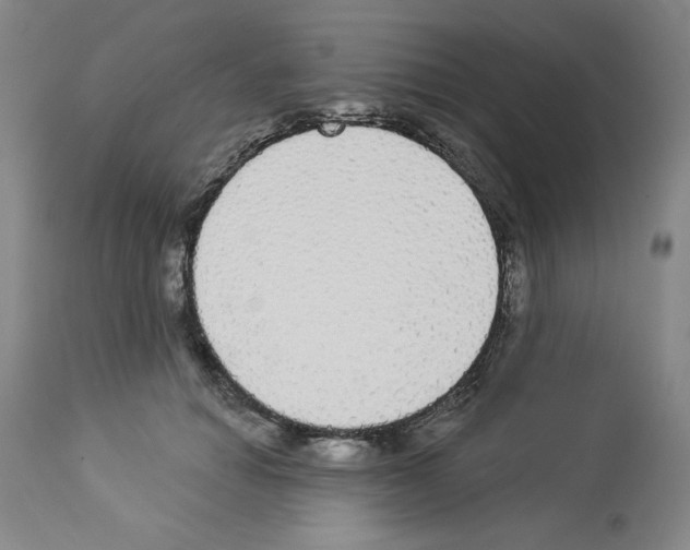 X0000112910654200910051044