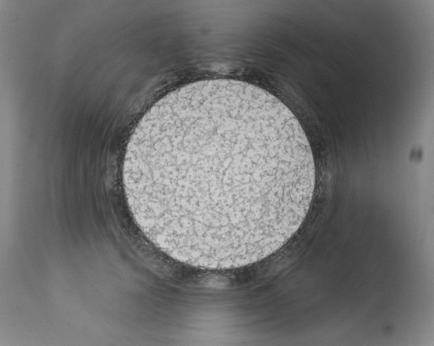 X0000112910656200910051044