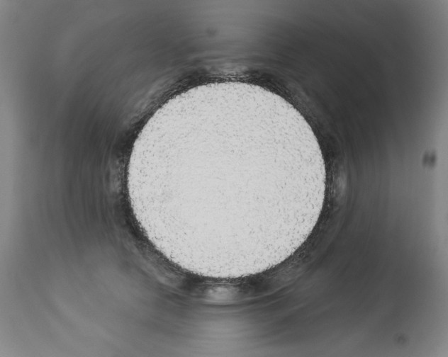 X0000112910658200910051044