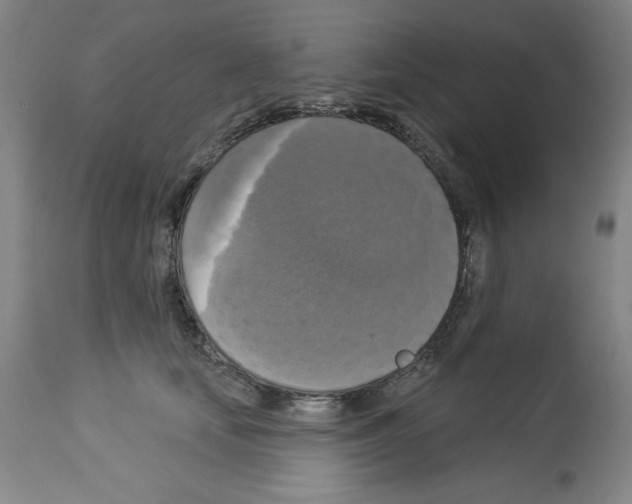 X0000112910659200910051044
