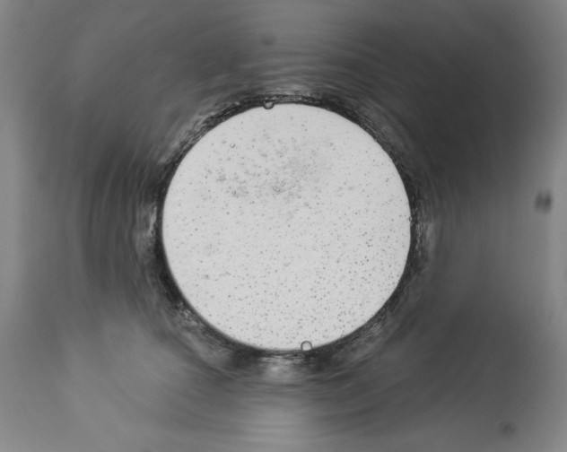 X0000112910660200910051044