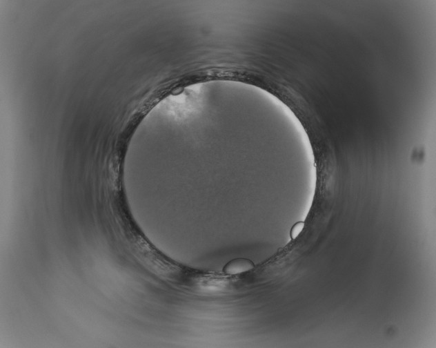 X0000112910661200910051044