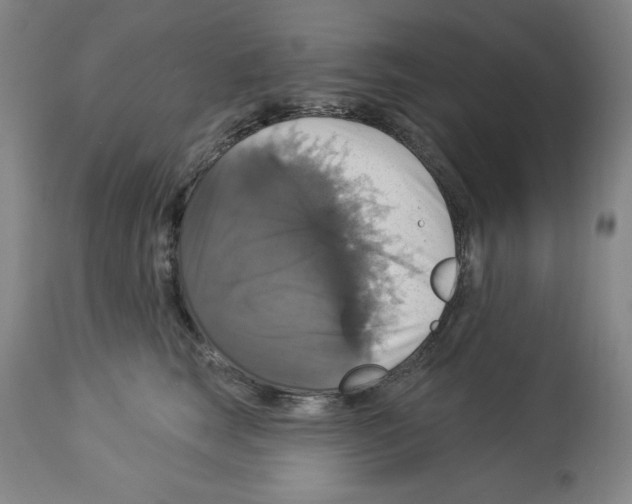 X0000112910663200910051044