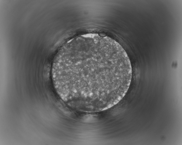 X0000112910664200910051044