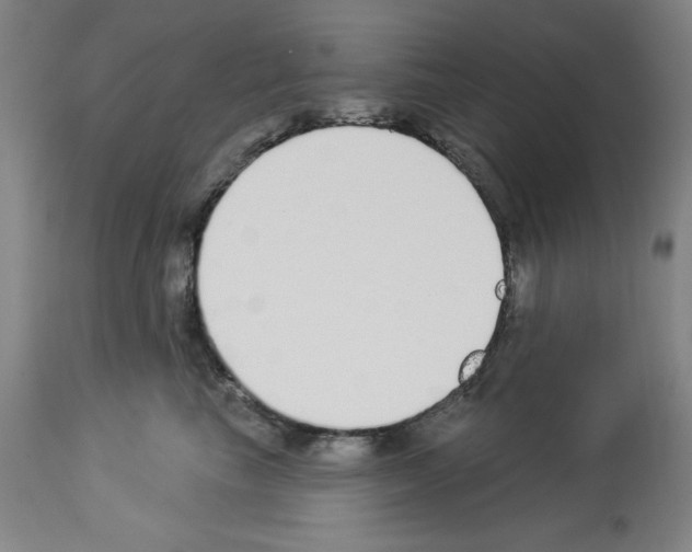 X0000112910665200910051044
