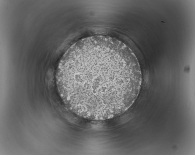 X0000112910667200910051044