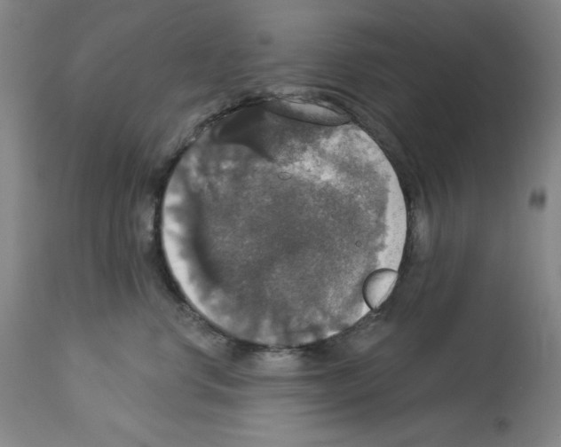 X0000112910668200910051044