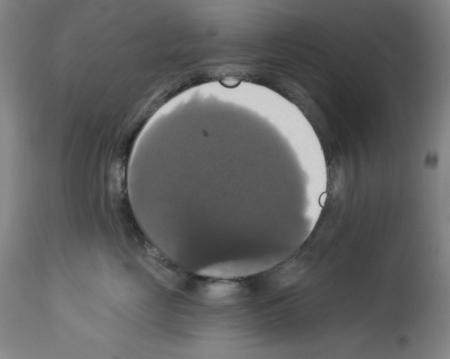 X0000112910669200910051044