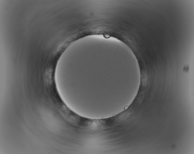 X0000112910670200910051044