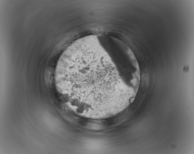 X0000112910671200910051044