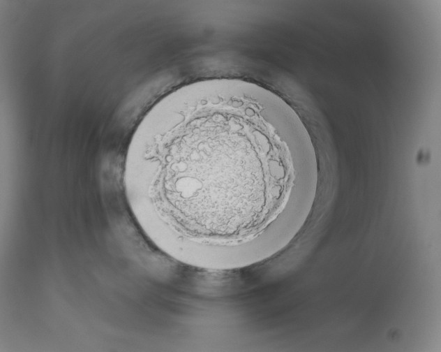 X0000112910672200910051044