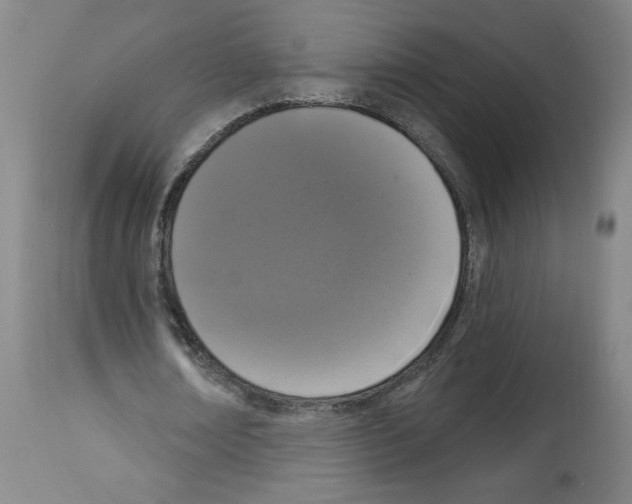 X0000112910674200910051043