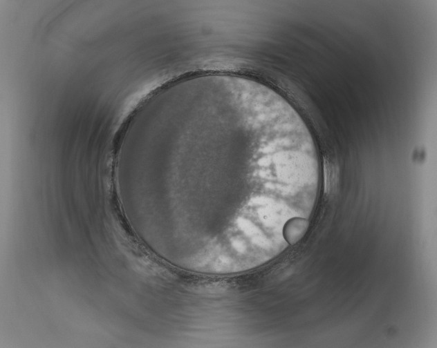 X0000112910675200910051043