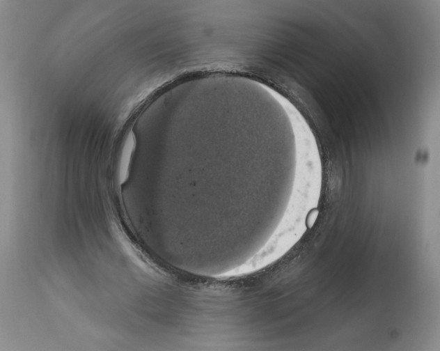 X0000112910677200910051043