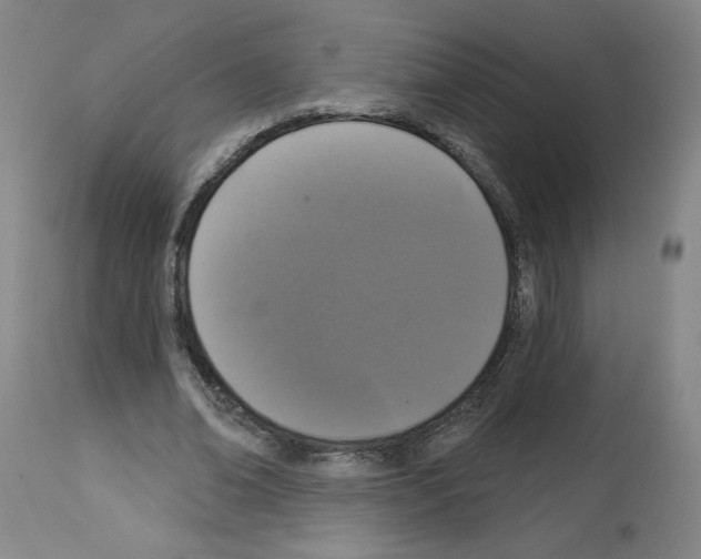 X0000112910678200910051043