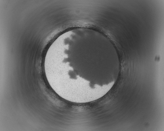 X0000112910679200910051043
