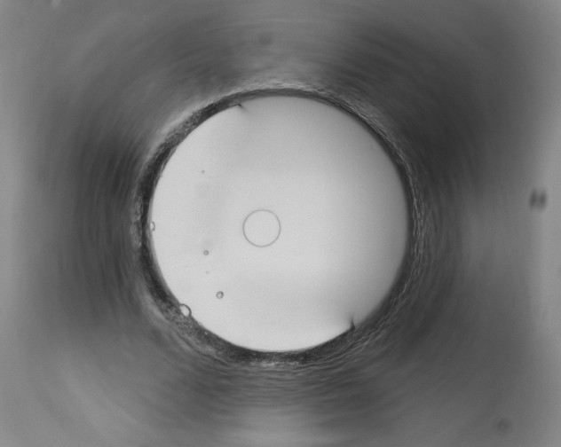 X0000112910680200910051043
