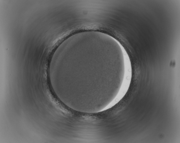 X0000112910681200910051043