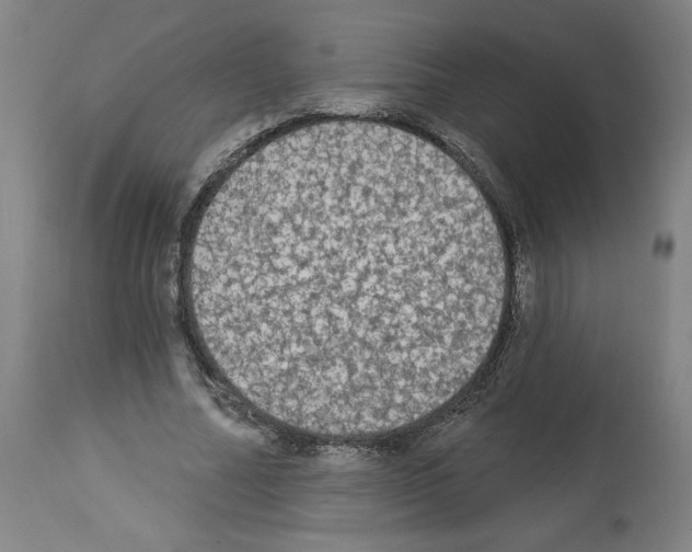 X0000112910682200910051043