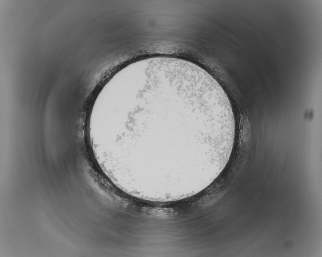 X0000112910683200910051043