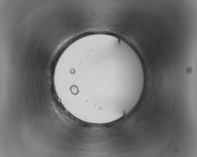 X0000112910684200910051043