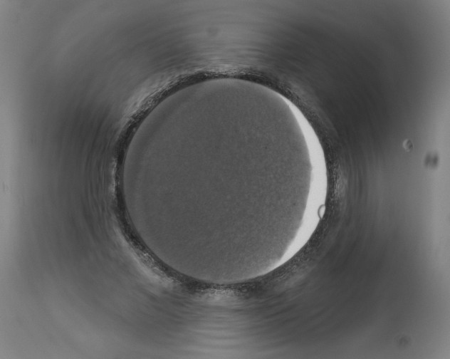 X0000112910685200910051043