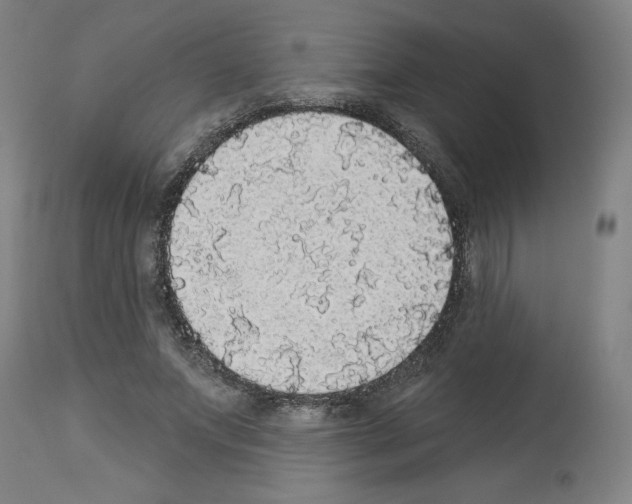 X0000112910687200910051043