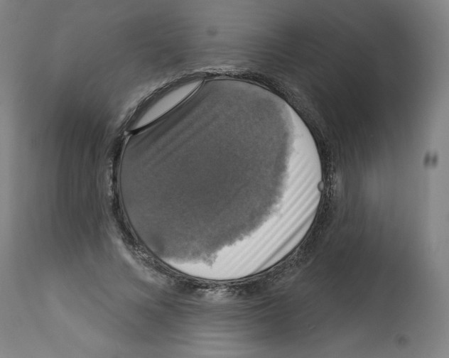 X0000112910688200910051043