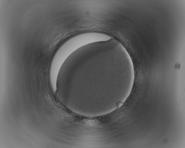 X0000112910689200910051043