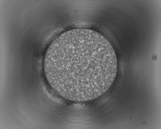 X0000112910690200910051043