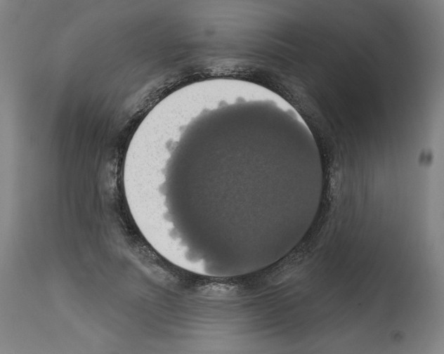X0000112910691200910051043