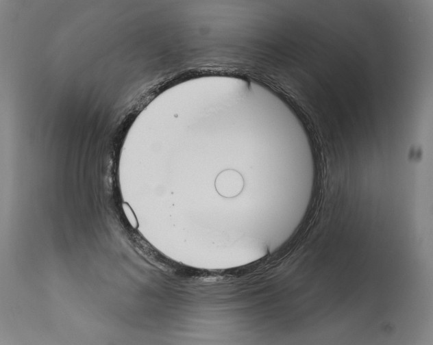 X0000112910692200910051043