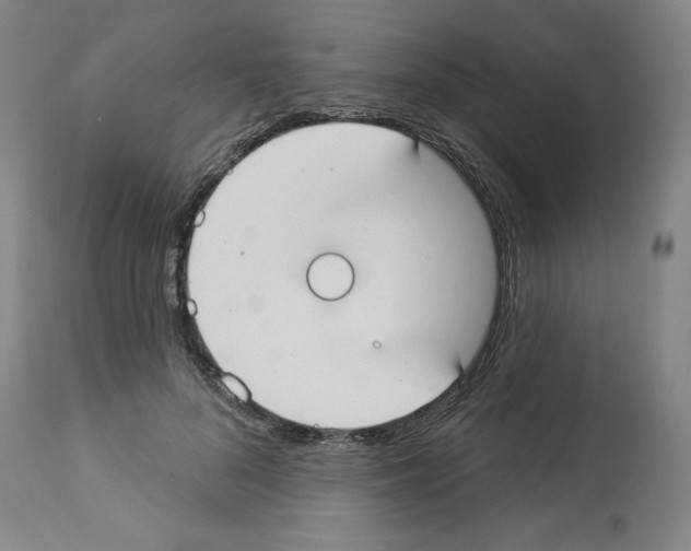 X0000112910696200910051043