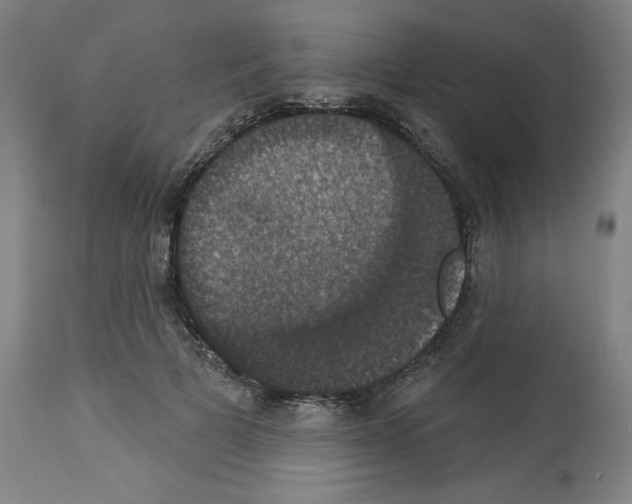 X0000112910697200910051043
